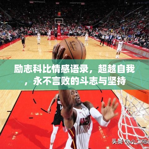 励志科比情感语录，超越自我，永不言败的斗志与坚持