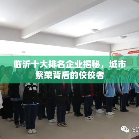 临沂十大排名企业揭秘，城市繁荣背后的佼佼者