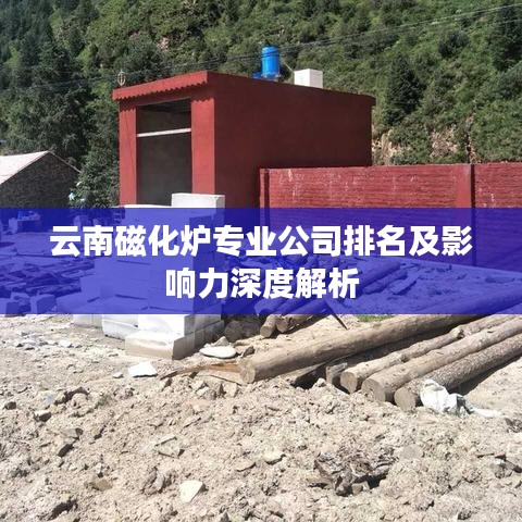 云南磁化炉专业公司排名及影响力深度解析