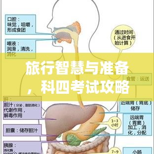 旅行智慧与准备，科四考试攻略全解析