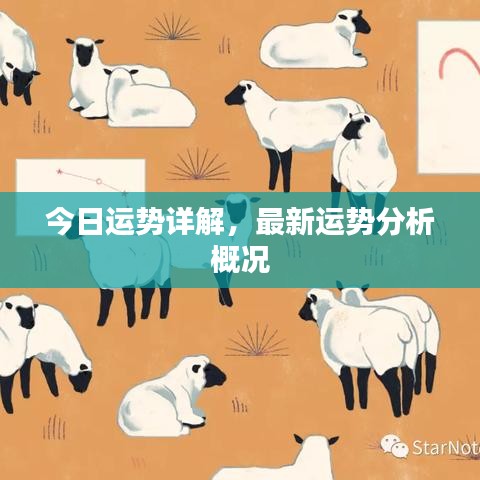 今日运势详解，最新运势分析概况