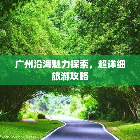 广州沿海魅力探索,超详细旅游攻略