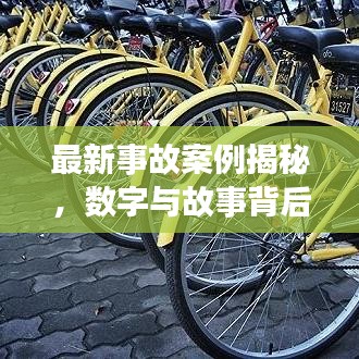 雍容华贵 第5页