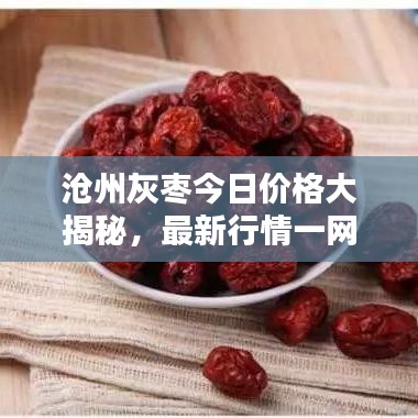 沧州灰枣今日价格大揭秘,最新行情一网打尽!