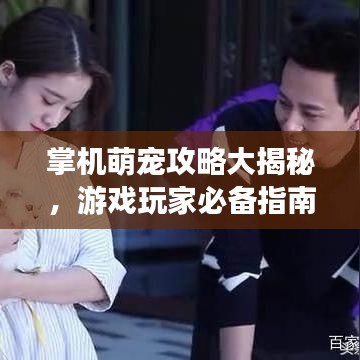 掌机萌宠攻略大揭秘，游戏玩家必备指南