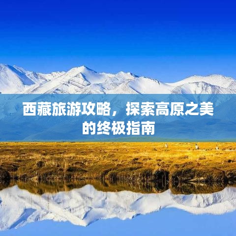 西藏旅游攻略，探索高原之美的终极指南