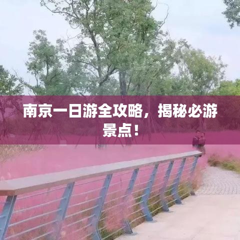 风韵犹存 第6页