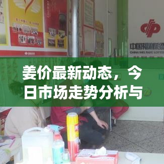 姜价最新动态，今日市场走势分析与预测报告