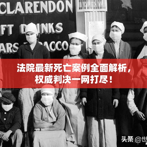法院最新死亡案例全面解析，权威判决一网打尽！