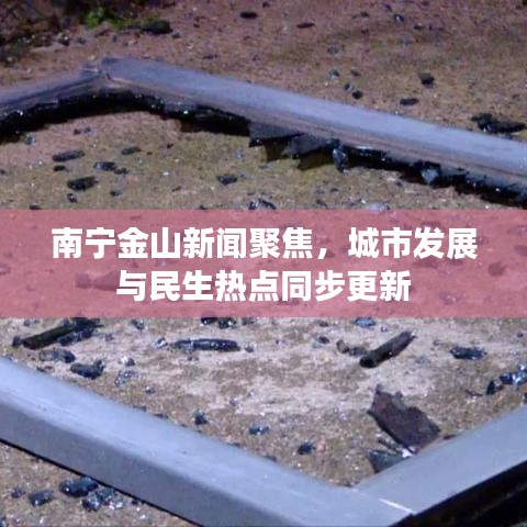 南宁金山新闻聚焦，城市发展与民生热点同步更新