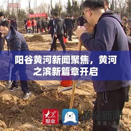 阳谷黄河新闻聚焦，黄河之滨新篇章开启