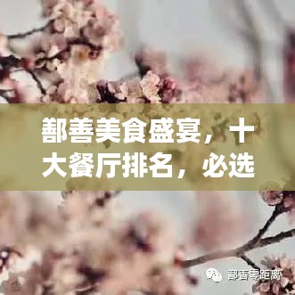 鄯善美食盛宴，十大餐厅排名，必选的美食之旅目的地