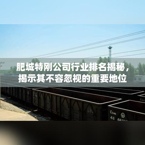 肥城特刚公司行业排名揭秘，揭示其不容忽视的重要地位
