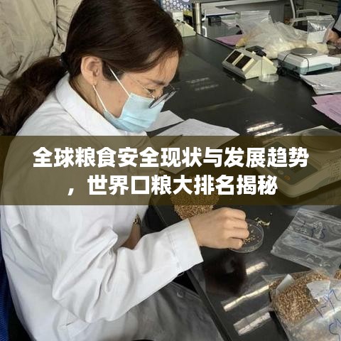 全球粮食安全现状与发展趋势，世界口粮大排名揭秘