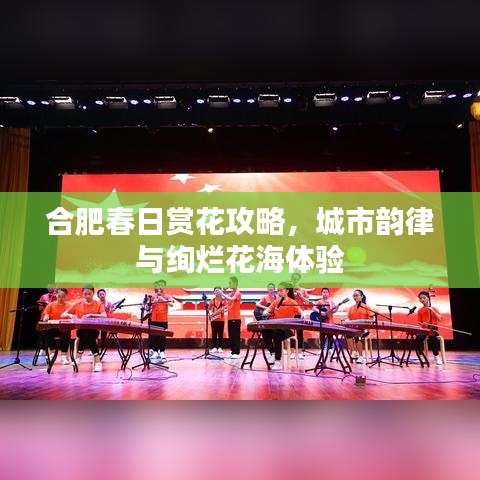 合肥春日赏花攻略，城市韵律与绚烂花海体验