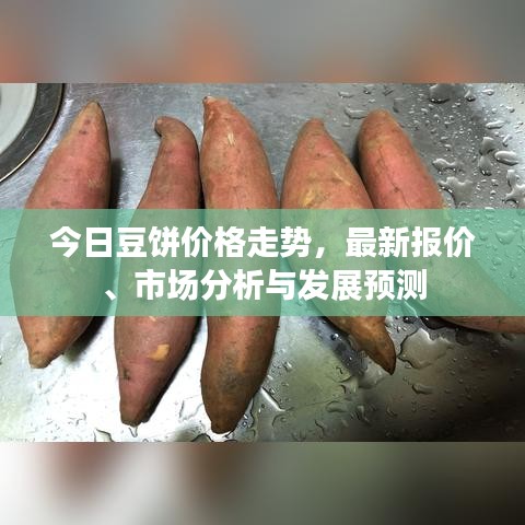 今日豆饼价格走势，最新报价、市场分析与发展预测