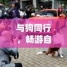 与狗同行,畅游自然城市,狗子旅行攻略大揭秘!