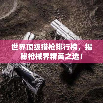 张灯结彩 第5页