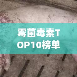 范张鸡黍 第5页