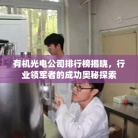 有机光电公司排行榜揭晓，行业领军者的成功奥秘探索