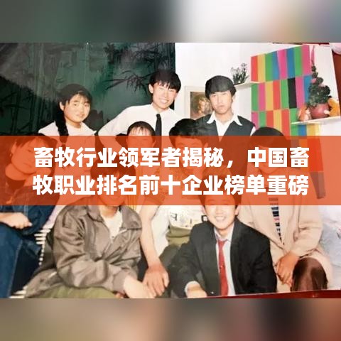 虫书鸟篆 第5页