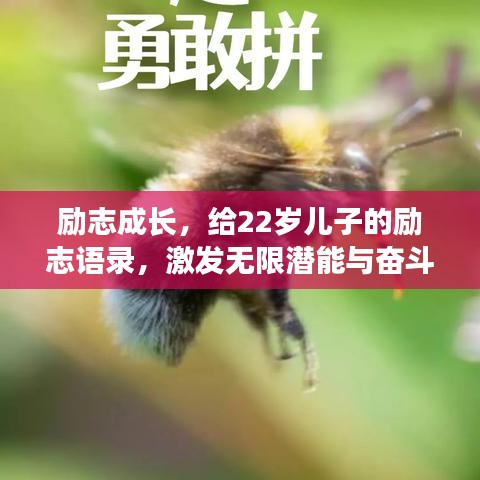励志成长,给22岁儿子的励志语录,激发无限潜能与奋斗激情!
