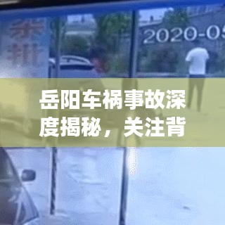岳阳车祸事故深度揭秘,关注背后的故事