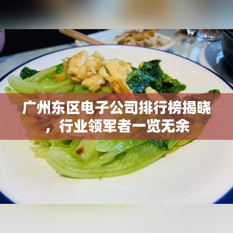 广州东区电子公司排行榜揭晓，行业领军者一览无余