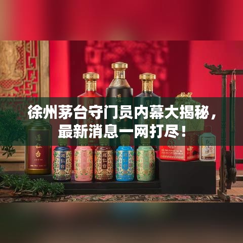 徐州茅台守门员内幕大揭秘，最新消息一网打尽！