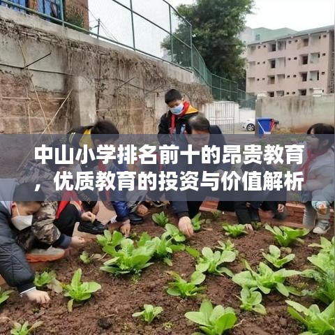 中山小学排名前十的昂贵教育,优质教育的投资与价值解析