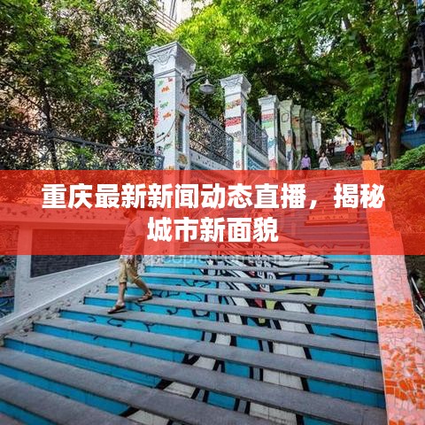重庆最新新闻动态直播，揭秘城市新面貌