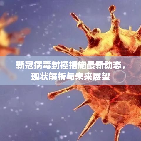 新冠病毒封控措施最新动态,现状解析与未来展望