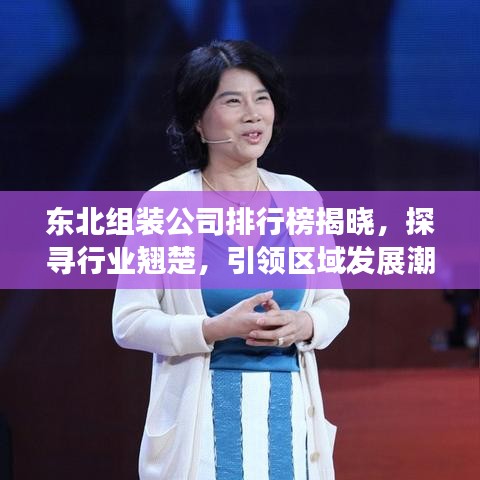 东北组装公司排行榜揭晓，探寻行业翘楚，引领区域发展潮流