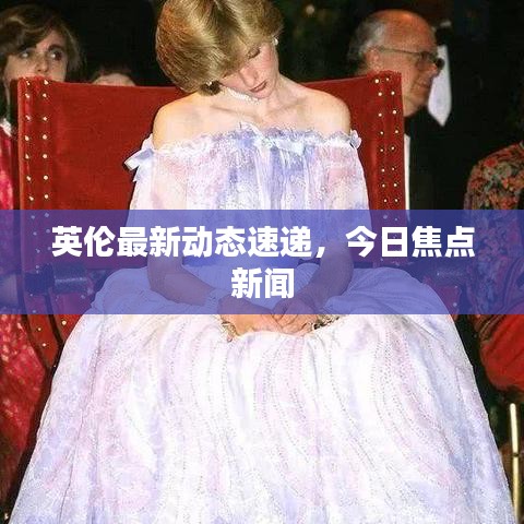 英伦最新动态速递，今日焦点新闻