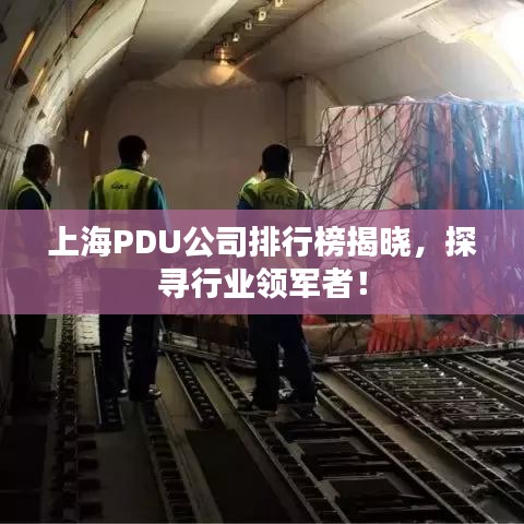 上海PDU公司排行榜揭晓，探寻行业领军者！