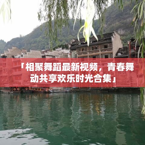 「相聚舞蹈最新视频，青春舞动共享欢乐时光合集」