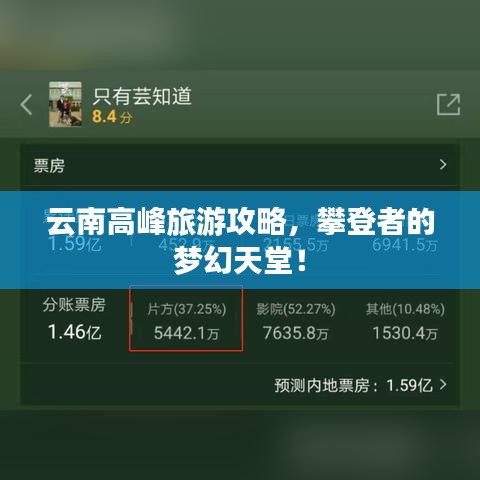 云南高峰旅游攻略,攀登者的梦幻天堂!