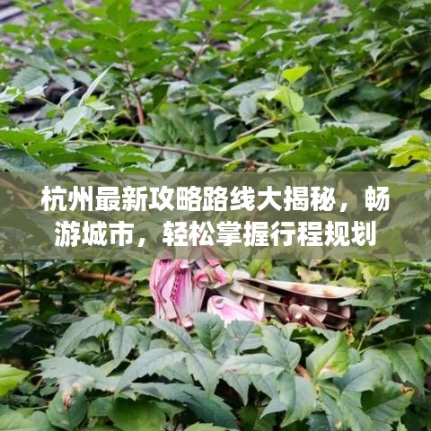 杭州最新攻略路线大揭秘,畅游城市,轻松掌握行程规划