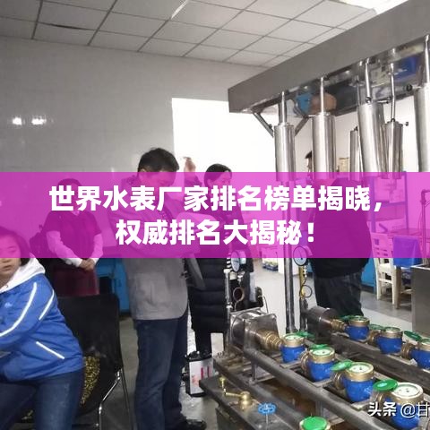 世界水表厂家排名榜单揭晓，权威排名大揭秘！