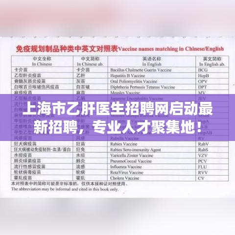 上海市乙肝医生招聘网启动最新招聘，专业人才聚集地！