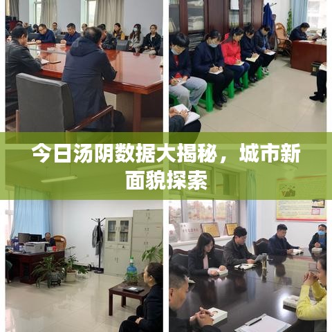 今日汤阴数据大揭秘，城市新面貌探索
