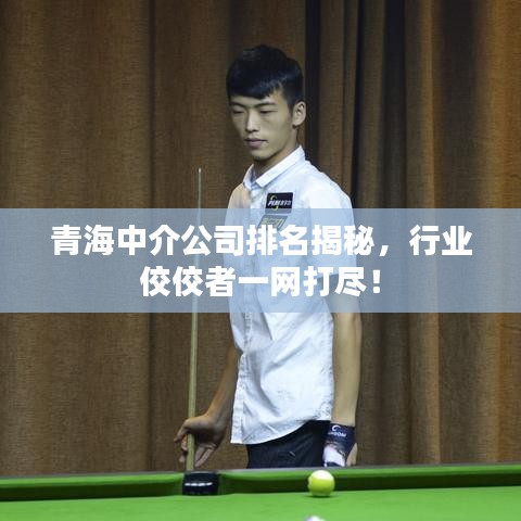 青海中介公司排名揭秘，行业佼佼者一网打尽！