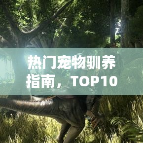 热门宠物驯养指南，TOP10宠物排名及魅力与养护秘籍