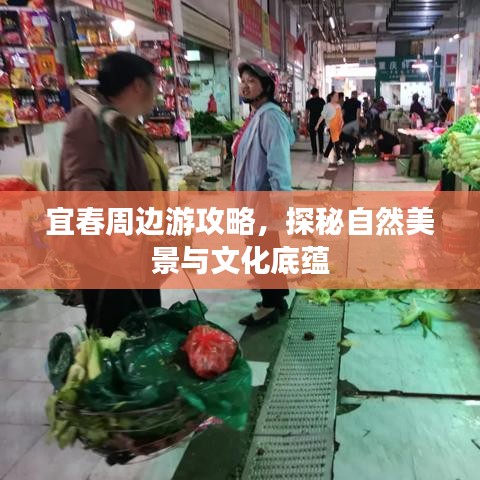 宜春周边游攻略，探秘自然美景与文化底蕴