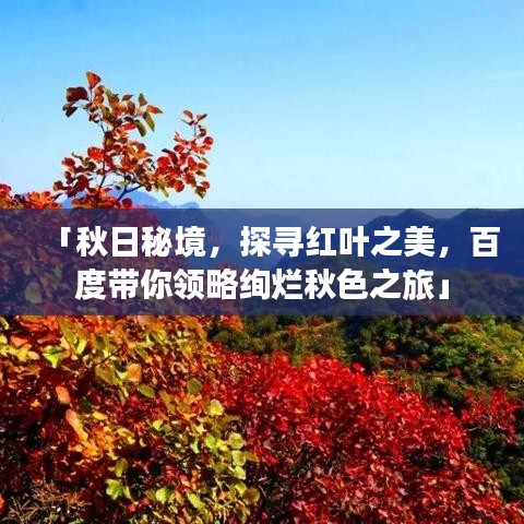 「秋日秘境，探寻红叶之美，百度带你领略绚烂秋色之旅」