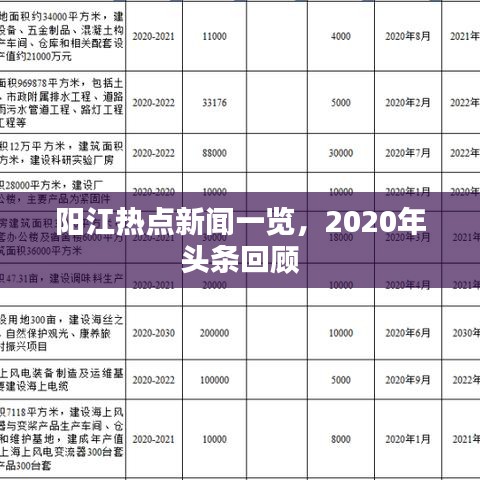 阳江热点新闻一览，2020年头条回顾