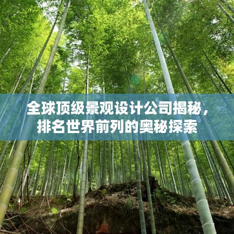 全球顶级景观设计公司揭秘,排名世界前列的奥秘探索