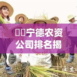 宁德农资公司排名揭晓,探寻区域农资行业的领军者