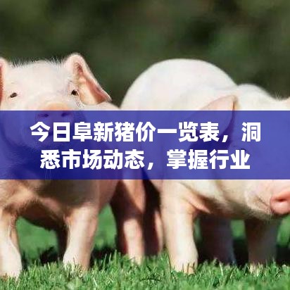 今日阜新猪价一览表，洞悉市场动态，掌握行业趋势