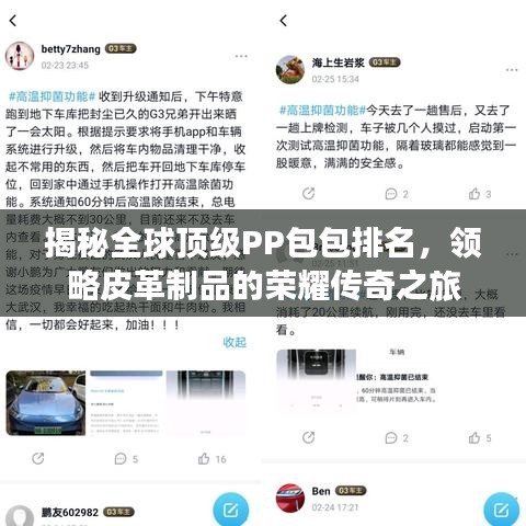 揭秘全球顶级PP包包排名，领略皮革制品的荣耀传奇之旅